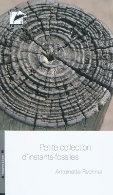 Petite collection d'instants fossiles (LITTERATURE, 2010)