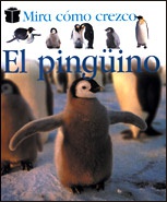 El pingüino - Mira cómo crezco